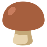 Mushroom on Brown Square - Noto (Google)