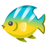 Tropical Fish - Noto (Google)