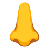 Nose - Noto (Google)