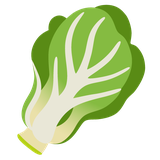 Leafy Green - Noto (Google)