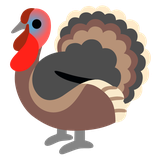 Turkey - Noto (Google)