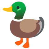 Duck - Noto (Google)