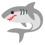 Shark - Noto (Google)