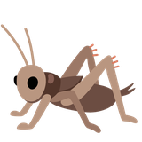 Cricket - Noto (Google)