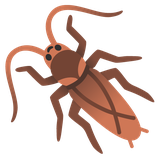 Cockroach - Noto (Google)