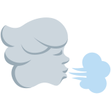Wind Face - Twemoji
