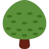 Deciduous Tree - Twemoji