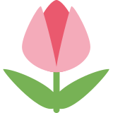 Tulip - Twemoji