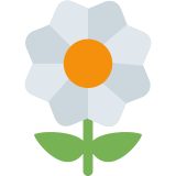Blossoming Flower - Twemoji