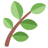 Herb - Twemoji