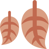 Fallen Leaf - Twemoji
