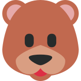 Bear Face - Twemoji