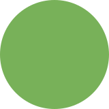 Green Circle - Twemoji