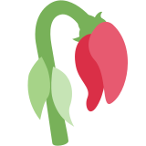 Wilted Flower - Twemoji