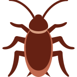 Cockroach - Twemoji
