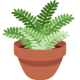 Potted Plant - Twemoji