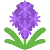 Hyacinth - Twemoji