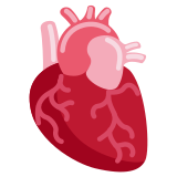 Anatomical Heart - Twemoji