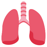 Lungs - Twemoji