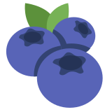 Blueberries - Twemoji